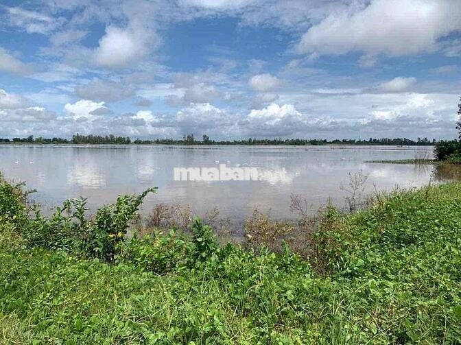 5 Công Đất Ruộng Lộ Ô Tô Cách Chợ Cờ Đỏ 2km