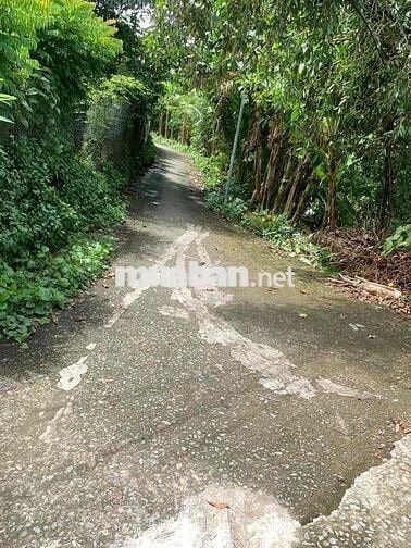 5 Công Đất Ruộng Lộ Ô Tô Cách Chợ Cờ Đỏ 2km