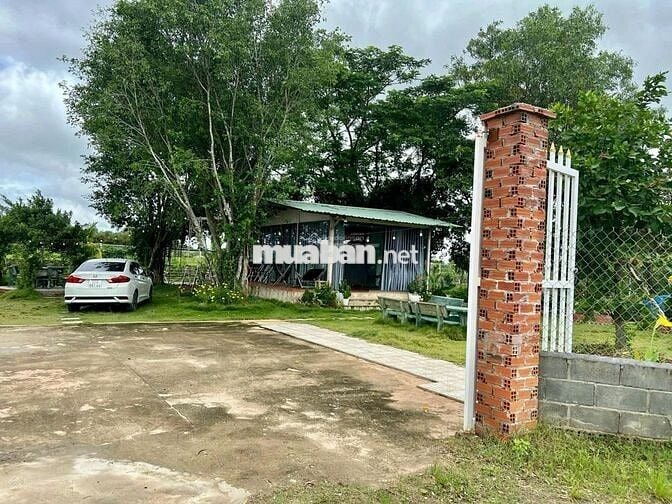 Đất vườn 600m2, làm nhà vườn siêu đẹp, gần chợ, sổ riêng, giá 800tr