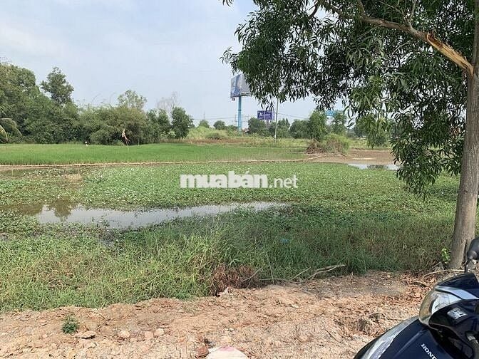 Cần bán đất Bình Chánh - Gần bệnh viện - Thị trấn Tân Túc