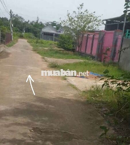 Bán Nền Đất Ở Chính Chủ Nhơn Trạch Đồng Nai 1.248m2 Phun 100m2 Thổ Cư
