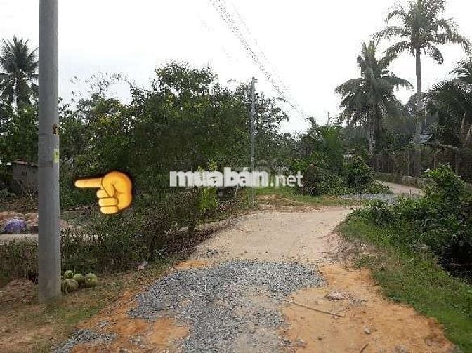 Bán Nền Đất Ở Chính Chủ Nhơn Trạch Đồng Nai 1.248m2 Phun 100m2 Thổ Cư