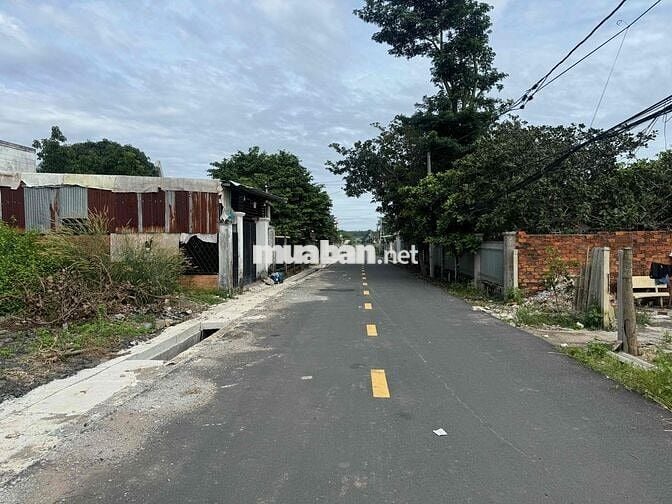 Bán nhà cấp 4, sổ hồng chính chủ, Hồ Tràm, TPHCM