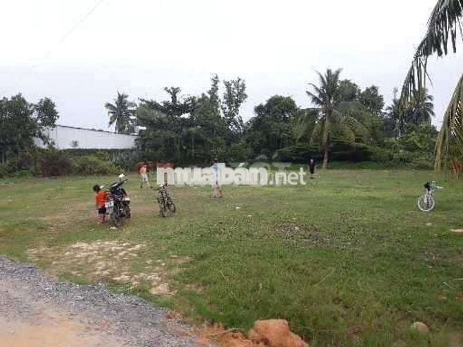 Bán Nền Đất Ở Chính Chủ Nhơn Trạch Đồng Nai 1.248m2 Phun 100m2 Thổ Cư