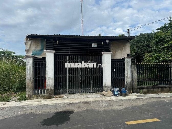 Bán nhà cấp 4, sổ hồng chính chủ, Hồ Tràm, TPHCM