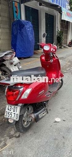 Elizabeth đỏ đô đẹp