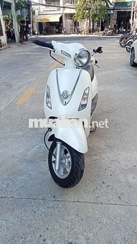 Xe Elizabeth trắng đẹp, máy cực kỳ êm ngon