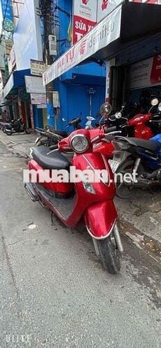 Elizabeth đỏ đô đẹp