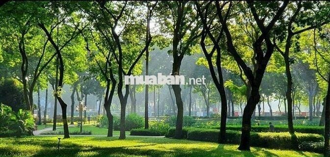 5TY3 | MUA CĂN HỘ VIEW HỒ SINH THÁI 2PN 2WC CÓ BAYWINDOW | EMERALD