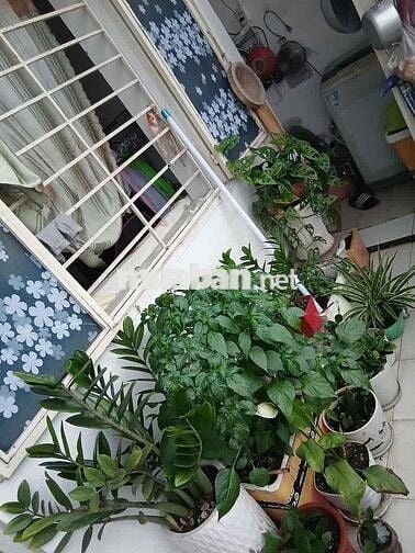 Cho thuê chung cư 2 phòng ngủ 2wc Tây Thạnh, Tân Phú