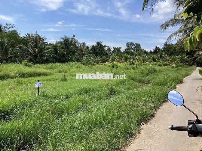 Đất đẹp gần kcn an hiệp châu thành bến tre