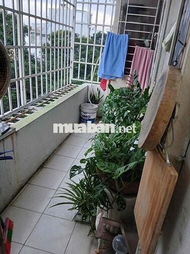 Cho thuê chung cư 2 phòng ngủ 2wc Tây Thạnh, Tân Phú