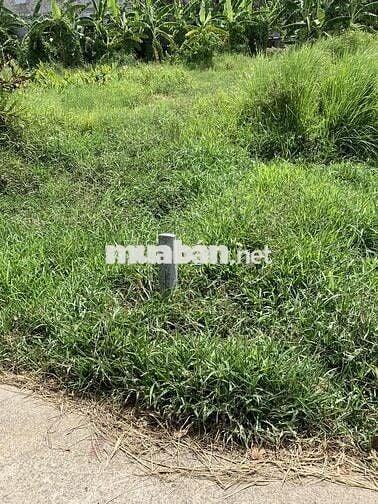 Đất đẹp gần kcn an hiệp châu thành bến tre