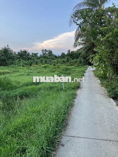 Đất đẹp gần kcn an hiệp châu thành bến tre