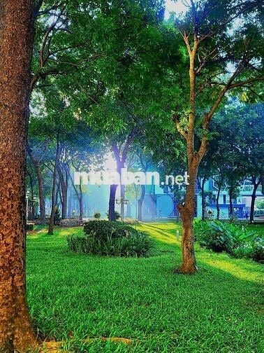 5TY3 | MUA CĂN HỘ VIEW HỒ SINH THÁI 2PN 2WC CÓ BAYWINDOW | EMERALD