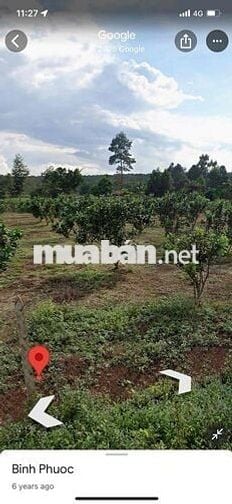 Bán đất chính chủ 2,3 tỷ 2175,6 m2 Phước Sơn, huyện Bù Đăng (cũ)