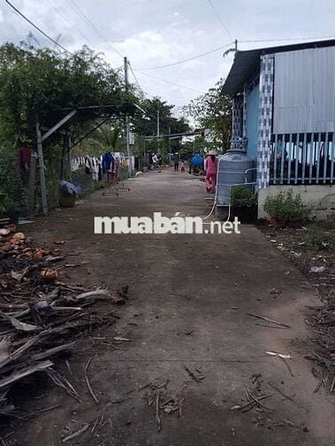 Đất Chợ Cầu Đôi, Đất full thổ, đường bê tông 5m, cách lộ nhựa 100m