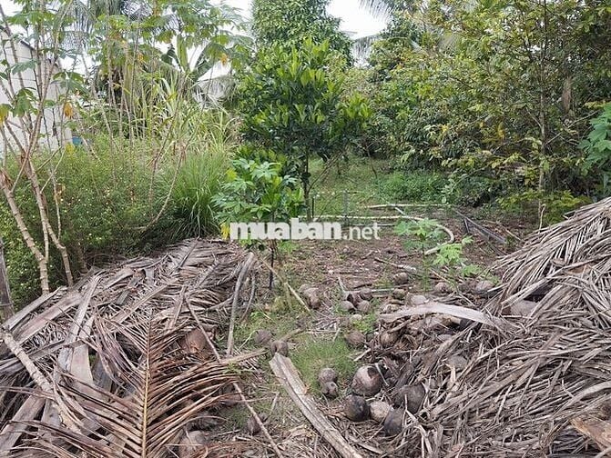 Đất Chợ Cầu Đôi, Đất full thổ, đường bê tông 5m, cách lộ nhựa 100m