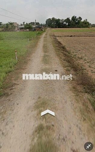 Đất thổ cư 600m2 một xec tỉnh lộ 824 xã Mỹ Hanh nam