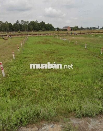 Đất thổ cư 600m2 một xec tỉnh lộ 824 xã Mỹ Hanh nam