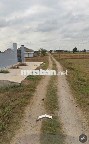 Đất thổ cư 600m2 một xec tỉnh lộ 824 xã Mỹ Hanh nam