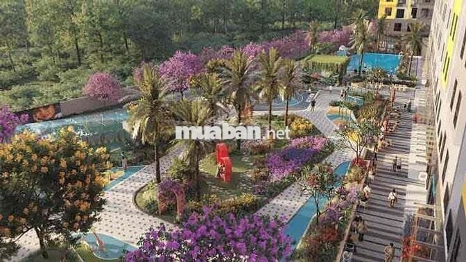 Mình CHÍNH CHỦ bán căn Solary 2PN 2VS 52.65m2 ban công ĐÔNG NAM