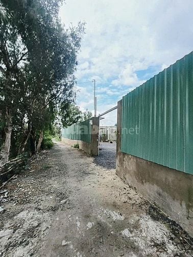 🌴 BÁN ĐẤT VƯỜN NGHỈ DƯỠNG – GIÁ CHỈ 1 TỶ 850 – SỔ ĐỎ RIÊNG