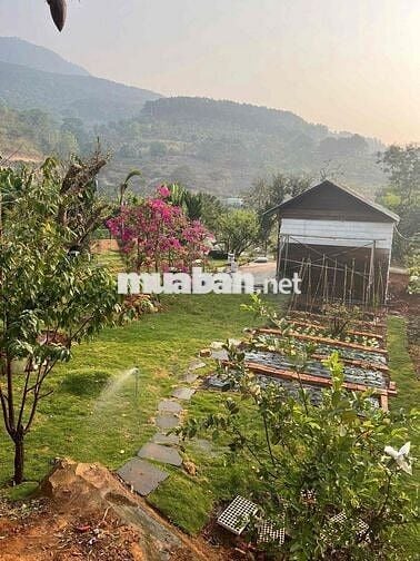 Làm ăn thua lỗ bán gấp lô đất tặng nhà có sẵn sân vườn view hồ Đà Lạt