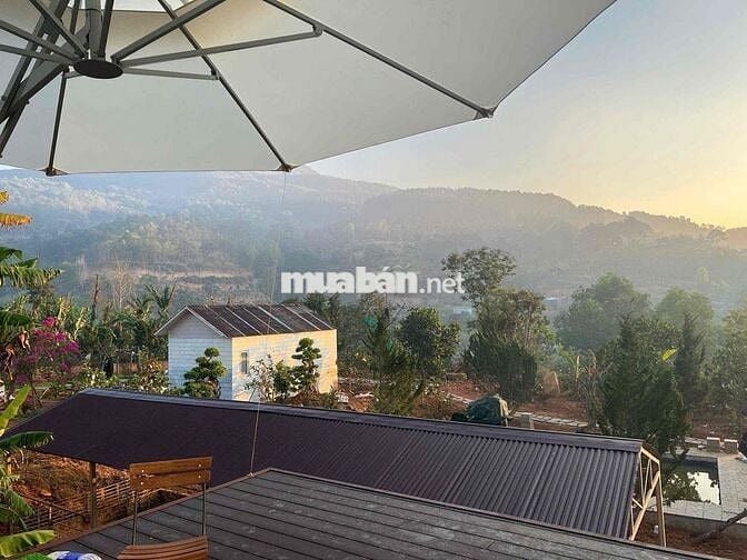 Làm ăn thua lỗ bán gấp lô đất tặng nhà có sẵn sân vườn view hồ Đà Lạt