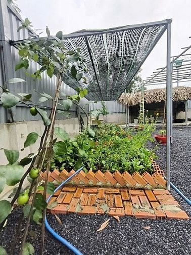 🌴 BÁN ĐẤT VƯỜN NGHỈ DƯỠNG – GIÁ CHỈ 1 TỶ 850 – SỔ ĐỎ RIÊNG