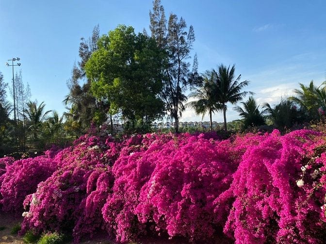 chuyển nhựơng căn hộ nghỉ dưỡng bên biển Phan Thiết. Pháp lý sổ hồng.