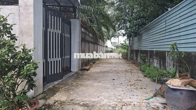 Bán đất 5,2 X 21m 1/ Hà Duy Phiên cào 200m Xã Bình Mỹ, mật độ xây 86%