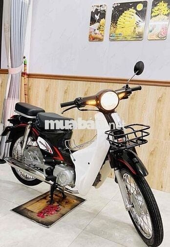 Siêu cub đời mới đăng ký 2024 cực đẹp