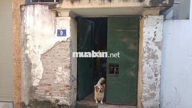 BÁN ĐẤT HOÀNG MAI CHÍNH CHỦ BÁN