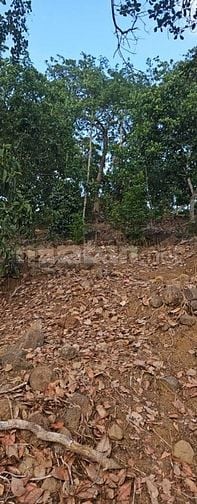 Gần 11.000m2 đất, 80m mặt tiền lớn, hông ôm suối