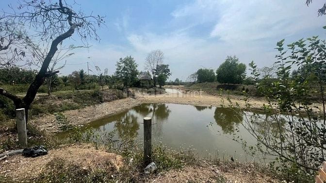 Bán đất vườn có 200 thổ cư 4,5ty