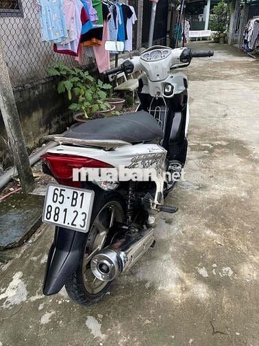Yamaha novo biển 65 máy êm ru áo liền đẹp