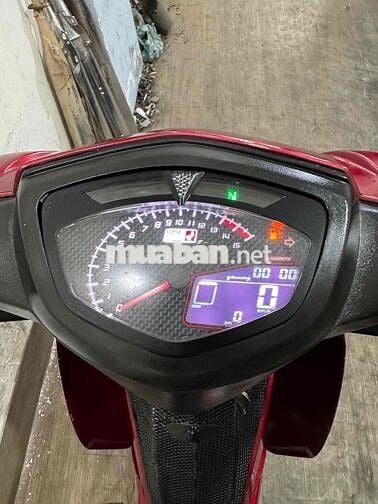 sirius kiểng chính chủ