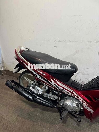 sirius kiểng chính chủ