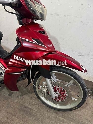 sirius kiểng chính chủ