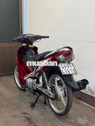 sirius kiểng chính chủ