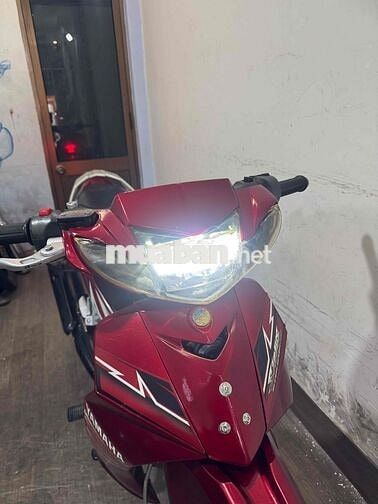 sirius kiểng chính chủ