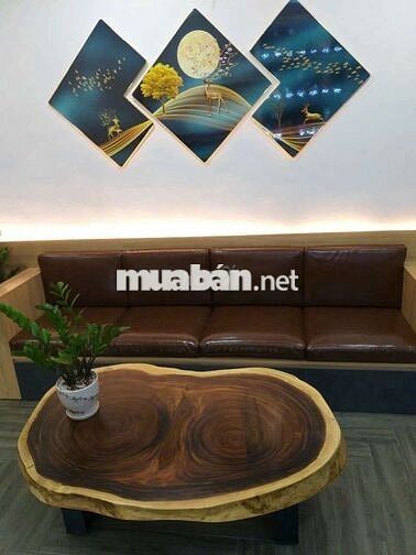 Căn bản căn 2 phòng ngủ thương mại Hòa Khánh