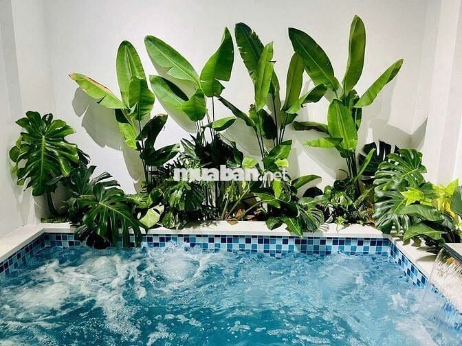 🛑 CHO THUÊ NHÀ 2 TẦNG MỚI: KIỆT HÙNG VƯƠNG - 3PN - 2wc