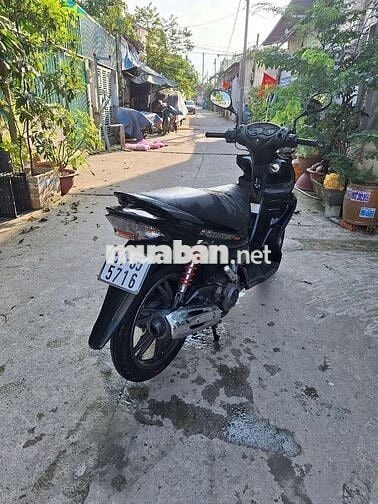 HAYATE XE ZIN NGUYÊN BẢN ỐC TÁN 7 MÀU CAVET HL