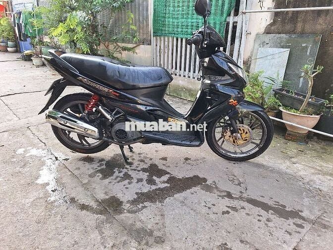 HAYATE XE ZIN NGUYÊN BẢN ỐC TÁN 7 MÀU CAVET HL