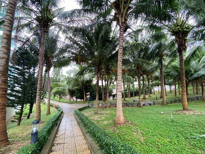 chuyển nhựơng căn hộ nghỉ dưỡng bên biển Phan Thiết. Pháp lý sổ hồng.