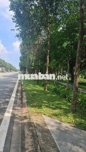 ĐẤT NỀN VIEW SÔNG THỊ TÍNH NGAY TRƯỜNG ĐẠI HỌC VIỆT ĐỨC