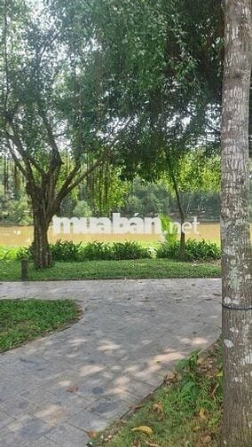 ĐẤT NỀN VIEW SÔNG THỊ TÍNH NGAY TRƯỜNG ĐẠI HỌC VIỆT ĐỨC