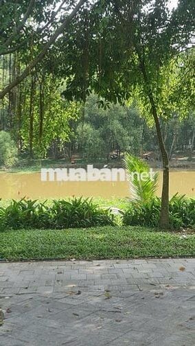 ĐẤT NỀN VIEW SÔNG THỊ TÍNH NGAY TRƯỜNG ĐẠI HỌC VIỆT ĐỨC